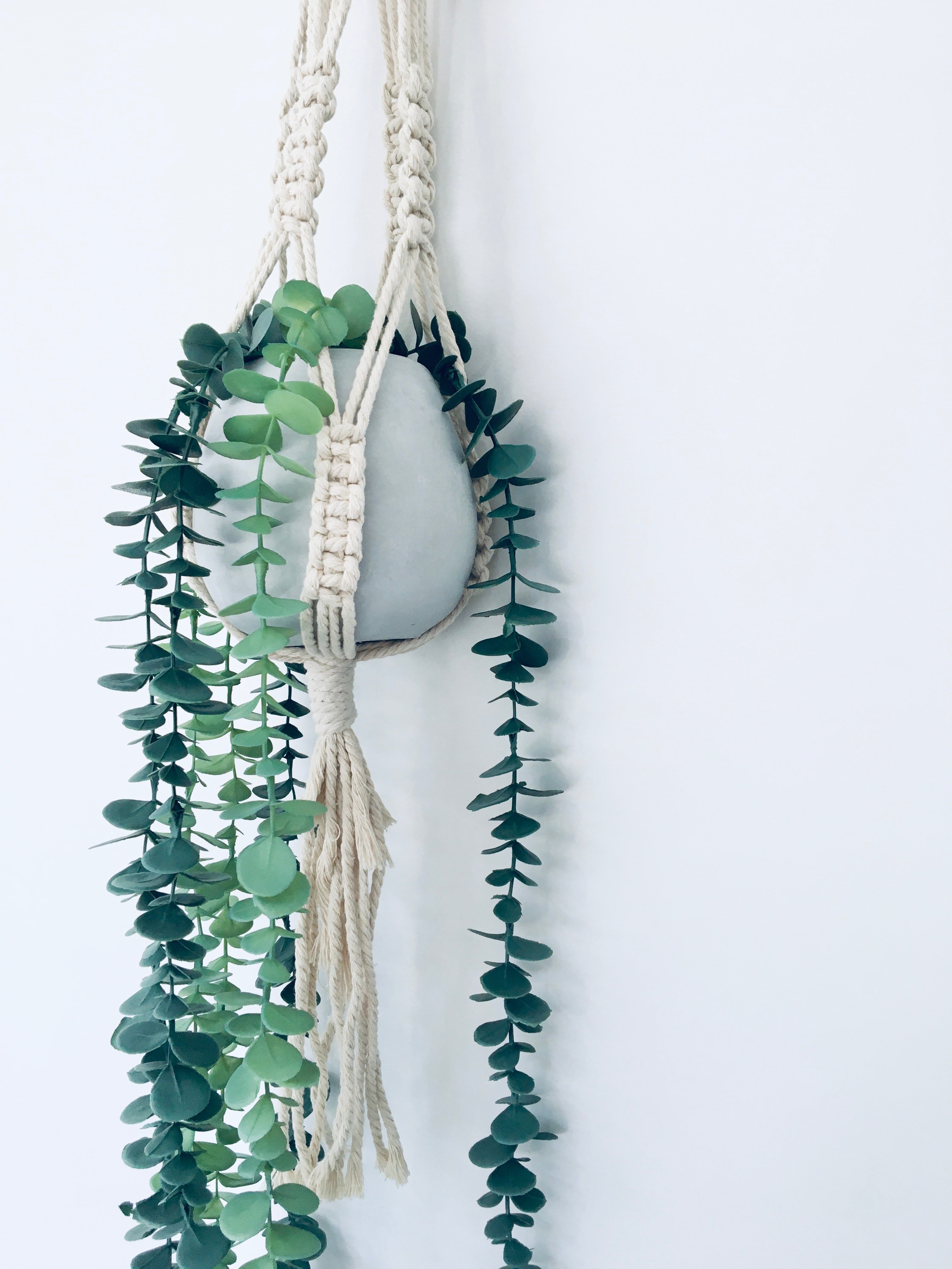 Plant Hanger - Light Timber
