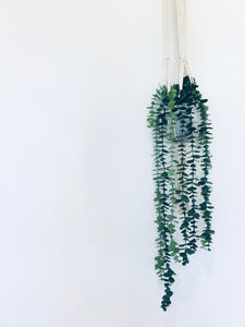 Plant Hanger - Dark Timber Braid