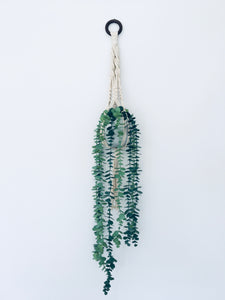 Plant Hanger - Dark Timber